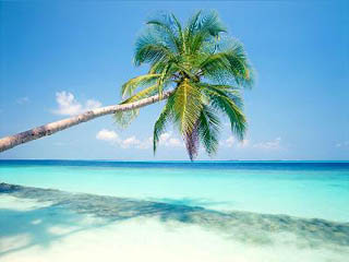 Coco Palm, Islas Maldivas