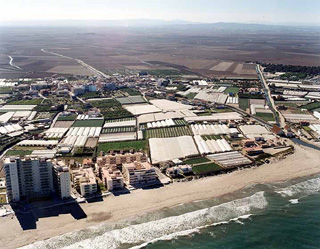 Playa del Rey