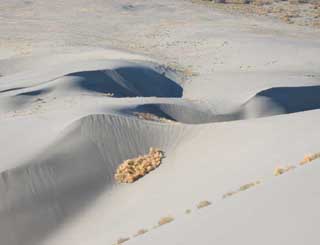Bruneau dunes